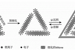 可高倍率快速充放電的MXene氣凝膠鋰負極集流體及其制備方法、應用