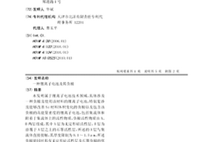 鋰離子電池及其負極