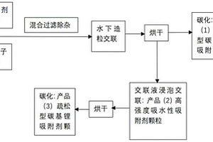 用于液體鋰資源提取的碳基吸附劑顆粒、制備方法及制備裝置
