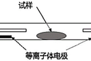 摻雜氟和硫的鋰電池電極導電劑材料的制備方法及其用途