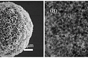 高活性、高結構穩定性NiFe<Sub>2</Sub>O<Sub>4</Sub>/C復合鋰離子電池負極材料及其制備方法和應用