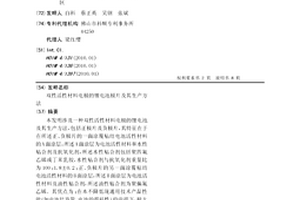 雙性活性材料電極的鋰電池極片及其生產方法