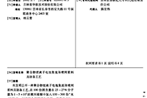 聚合物鋰離子電池集流體噴網漿料及制備工藝