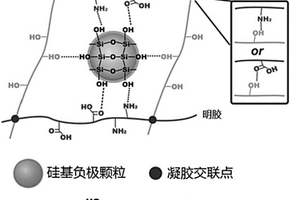 基于改性明膠粘結劑的鋰離子電池硅碳負極極片的制備方法