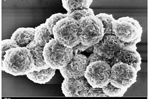 基于TiO<Sub>2</Sub>/MoS<Sub>2</Sub>負極材料的鋰離子電池及其制備方法