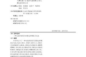 電流密度均勻且穩定的鋰離子電池