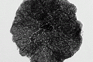 鋰離子電池負極材料NiCo<Sub>2</Sub>O<Sub>4</Sub>多孔納米片的制備方法