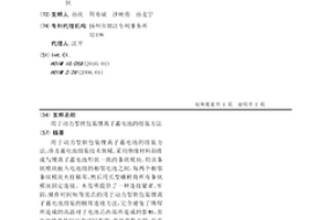用于動力型軟包裝鋰離子蓄電池的組裝方法