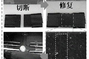鋰硫電池正極自修復(fù)涂層及其制備方法