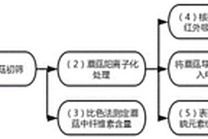 陽離子化蘑菇導離子膜的制備方法及其在鋰離子電池中的應用
