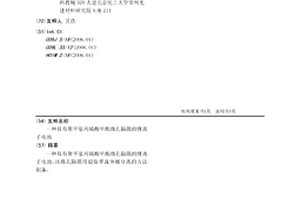 具有聚甲基丙烯酸甲酯微孔隔膜的鋰離子電池