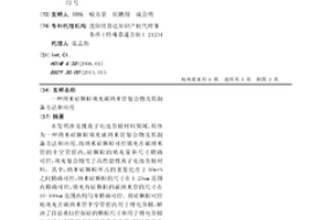 納米硅顆粒填充碳納米管復合物及其制備方法和應用