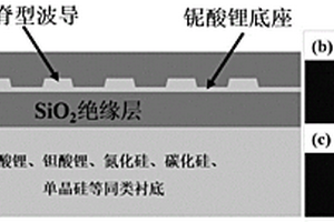 小型化的上轉換單光子探測器