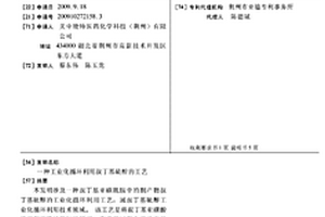 工業化循環利用叔丁基硫醇的工藝