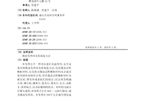 微波發熱體及其制造方法