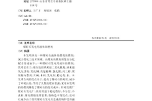 煤矸石發電用液體助燃劑
