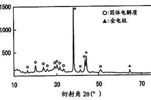 固體電解質及其制造方法