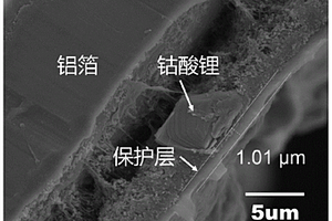 复合正极片及其制备方法、固态电池