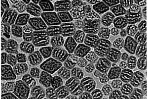 多孔稀土摻雜Li<sub>4</sub>ZrF<sub>8</sub>上轉換納米晶及其制備方法
