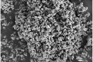 金屬元素摻雜Bi<sub>2</sub>O<sub>3</sub>材料的制備方法及其應用