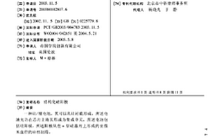 结构化硅阳极