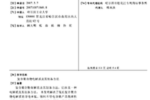 復合聚合物電解質及其制備方法