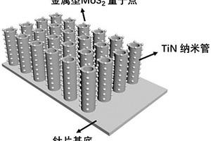 金屬型二硫化鉬量子點修飾的TiN納米管陣列復合材料及其制備方法
