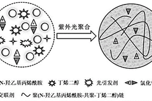 抗凍導電水凝膠及其制備方法和力響應傳感應用