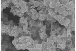 中空多孔Co<sub>3</sub>O<sub>4</sub>納米盒/還原氧化石墨烯復合材料的制備方法及應用