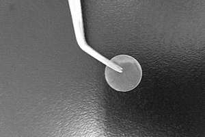 全固態環保型生物聚合物電解質膜的制備方法