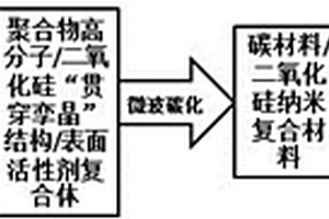 超聲-微波法制備具有開放結構的功能化介孔空心碳球