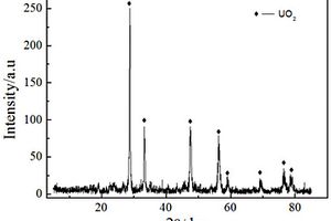 重鈾酸鈉(Na<Sub>2</Sub>U<Sub>2</Sub>O<Sub>7</Sub>)直接制備UO<Sub>2</Sub>的方法