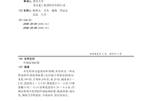 外墻裝飾砂漿