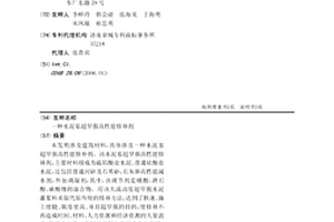 水泥基超早強高性能修補劑