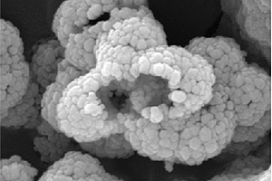 空心分等級結構的Fe<sub>2</sub>O<sub>3</sub>及Fe<sub>2</sub>O<sub>3</sub>/CNT復合材料的制備方法