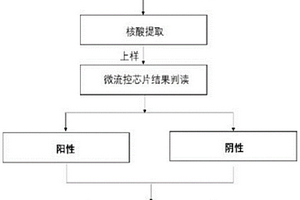檢測蝦肝腸胞蟲的引物以及試劑盒