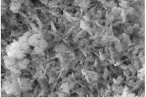 室溫合成ZSM-2分子篩納米小晶粒的方法