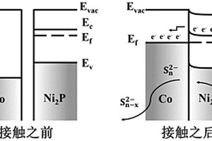 負載Ni2P-Co肖特基節活性位點海膽狀碳材料電催化劑、制備方法及其應用