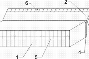 感應指示燈音標口琴