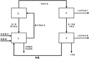 分離含鹽廢水中一價鹽和二價鹽的方法和系統