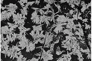 用于低濃度有機溶劑廢水處理的海綿基復合吸收劑及其制備方法和應用