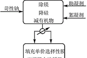 地表水脫鹽裝置副產含鹽廢水的處理方法