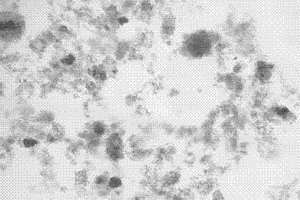 微生物制剂的制备方法及其在皮革废水处理中的应用