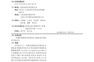 微生物菌株及其菌劑在含酚廢水生物處理中的應用