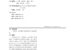 鎂鋁二元水滑石及其處理化工廢水的應用
