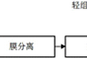 糖蜜酒精廢水的預處理方法