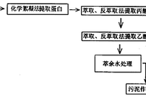 生產VB12的工業廢水的資源化處理工藝及其專用廢水處理機