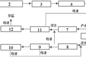 高鹽廢水處理及資源化系統