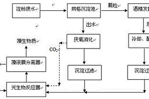 利用淀粉加工廢水厭氧發酵液培養小球藻的方法