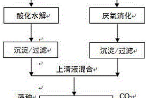 利用小麥淀粉加工廢水混養培養小球藻的方法